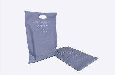 Handle Courier / Mailer Bag